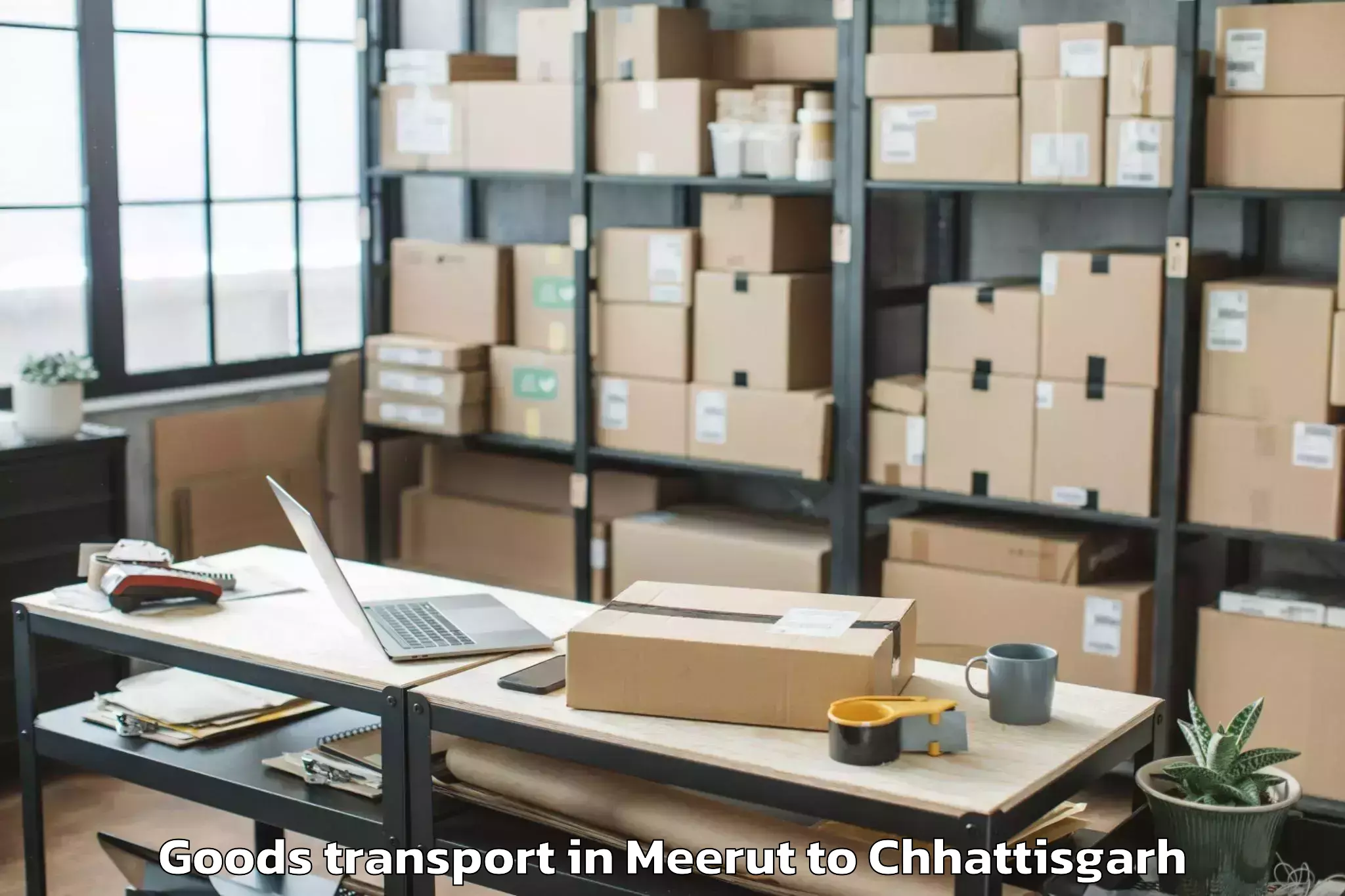 Book Meerut to Raigarh Chhattisgarh Goods Transport Online